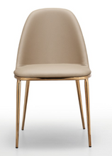 Load image into Gallery viewer, Trieste Dining Chair
